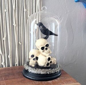Halloween Glass Dome Cloche Skulls Crow Black Bird Hanging Terrarium